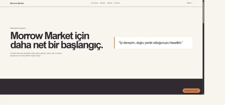 E-ticaret Dönüşüm Mağazası canlı demo ekran görüntüsü