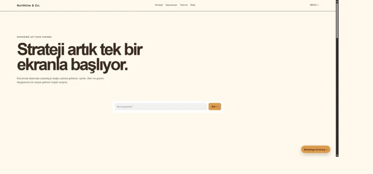 Profesyonel Portföy canlı demo ekran görüntüsü